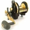 Daiwa Sealine-X Conventional Star Drag Reels -AFTCO Shop 20sha big