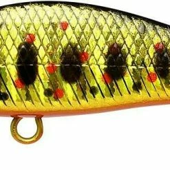 Lucky Craft Pointer 50 Sinking Jerkbait -AFTCO Shop 50SBGRAmago 1024x1024 2x 23fe28a0 5f64 45bf 9764 c261e25c05b1
