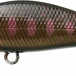 Lucky Craft Pointer 50 Sinking Jerkbait -AFTCO Shop 50SWinterStreamPerch 1024x1024 2x 03c6c56a 2d54 493d b948 81133b442650