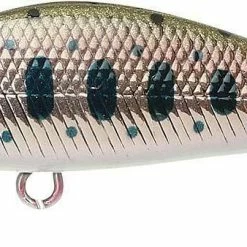 Lucky Craft Pointer 50 Sinking Jerkbait -AFTCO Shop 50SYamameSilver 1024x1024 2x c0b34457 c25f 418f a054 a5477f9669b4