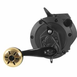 Daiwa Tanacom 800 Power Assist Kite & Deep Drop Reel -AFTCO Shop 55AM