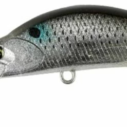 Duo Realis Rozante Shad 57MR -AFTCO Shop CCC3237 Inakko