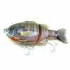 Deps BullShooter 160 Bluegill -AFTCO Shop DSC 7777