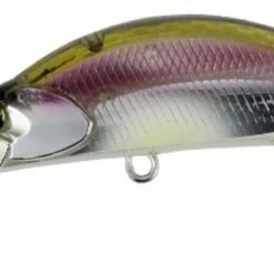 Duo Realis Rozante Shad 57MR -AFTCO Shop DSH3061 Komochi Wakasagi