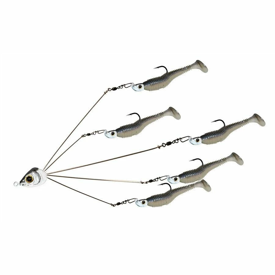 Picasso School-E-Rig 3 Picasso School-E-Rig