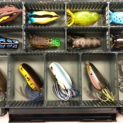 Spro Box Waterproof Tackle Tray 3700 -AFTCO Shop FrogsOpenTackleBox 1000x 1604bb6f ea0e 4641 9c4f cfc5fe92b2c0