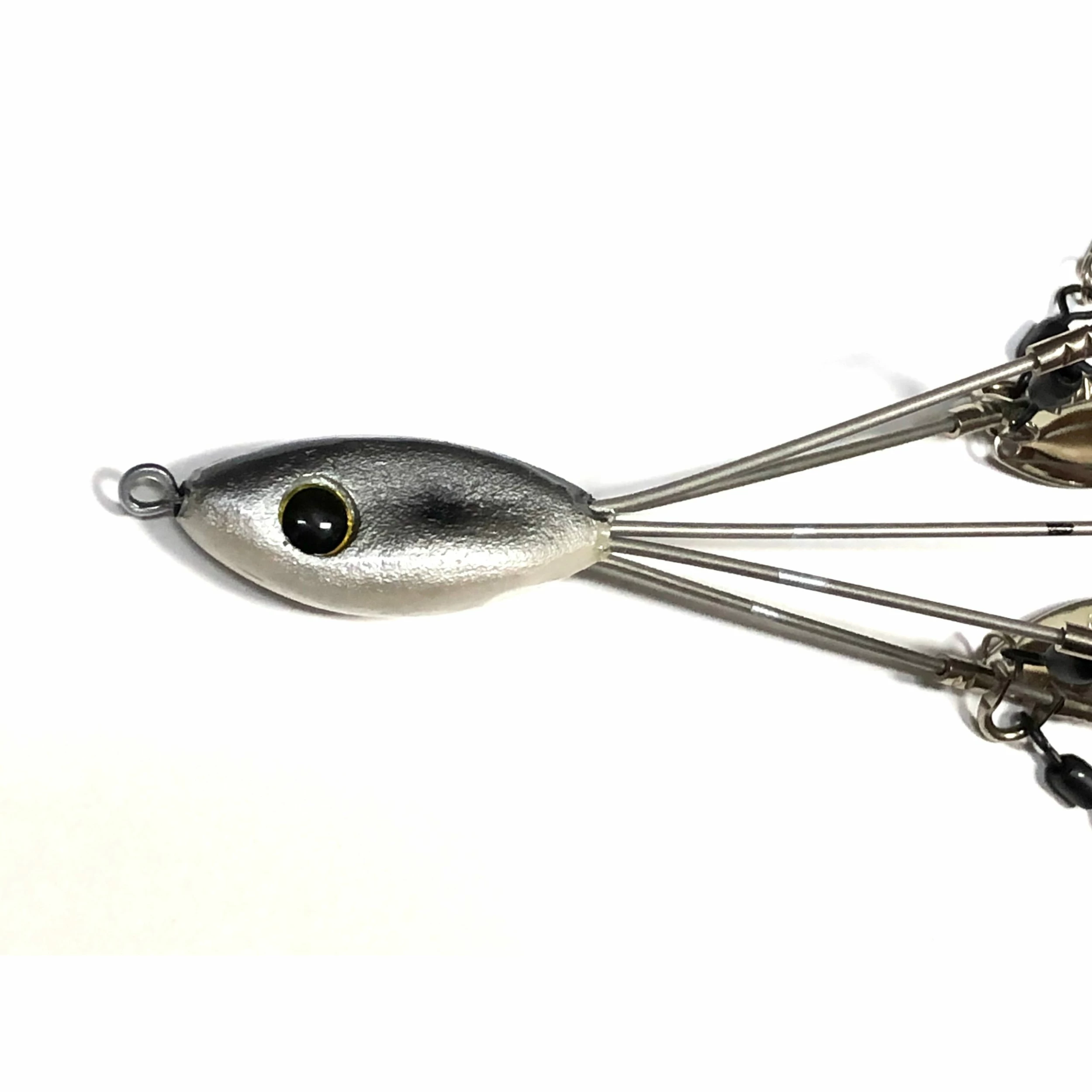 Picasso School-E-Rig 5 Picasso School-E-Rig - Image 3