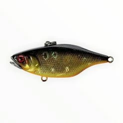 Jackall TN 70 Disk Knocker Lipless Crankbait -AFTCO Shop JTN70S hl black gold 700x700 336d18b9 fef1 493c b1f4 b1c9c9212ca1