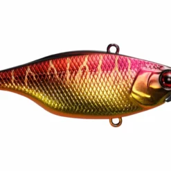 Jackall TN 80 Lipless Crankbaits -AFTCO Shop JackallTN80SpawningTiger