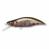 Megabass Great Hunting Humpback -AFTCO Shop MBGHHumpback TakumiYamame 1