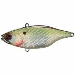 Jackall TN 70 Disk Knocker Lipless Crankbait -AFTCO Shop Muddy Shad 6749b7ba e983 4c46 90e2 5f36d0da7e68