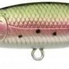 Lucky Craft SP Pointer 48DD Jerkbait 1 Lucky Craft SP Pointer 48DD Jerkbait -AFTCO Shop PT 48DD LRBT