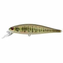 Lucky Craft Pointer 100 SP Jerkbait -AFTCO Shop Pointer 100 SMB