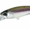 DUO Realis Shad 62 DR Jerkbait 2 DUO Realis Shad 62 DR Jerkbait -AFTCO Shop SHAD62DR DSH3061