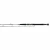 Daiwa Saltiga Jigging Casting Rods 1 Daiwa Saltiga Jigging Casting Rods -AFTCO Shop SLTGJ58HB rod profile 1000x beb344e3 77cc 4b0e a0dd 524e33a429aa