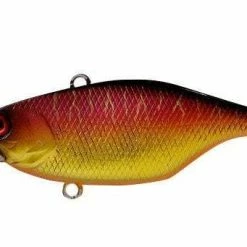 Jackall TN 70 Disk Knocker Lipless Crankbait -AFTCO Shop Spawning Tiger