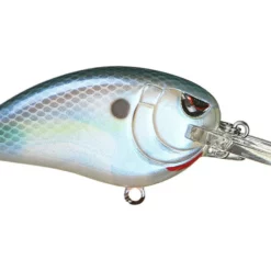 Spro Little John MD 50 Crankbait -AFTCO Shop Spooky Nasty 572a654d 72ee 41b5 a8f1 35e36ace8708