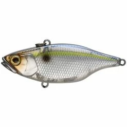 Jackall TN 70 Disk Knocker Lipless Crankbait -AFTCO Shop Threadfin Shad