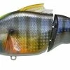 Megabass Vatalion -AFTCO Shop Vatalion GG Wild Gill