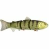 SPRO Jr. Swimbait -AFTCO Shop Wicked Perch a32e6378 65d1 452d 86cb 193b23eb9a28