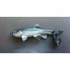 Little Creeper Baits All American Trash Fish Fatty -AFTCO Shop ayu 8355bd34 8fae 4326 b8e5 96ac847f2862