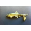 Little Creeper Baits All American Trash Fish -AFTCO Shop ayu b86cdaee 46d1 453f b78f cb1549eb4344
