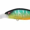 Megabass Deep-X 200 LBO Crankbait -AFTCO Shop ghostmattiger