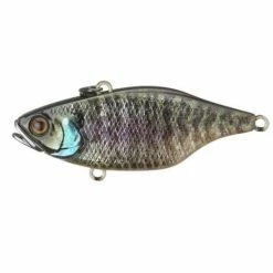 Jackall TN 60 Disk Knocker Lipless Crankbait 23 Jackall TN 60 Disk Knocker Lipless Crankbait -AFTCO Shop jackall tn60 dk jackall tn60 disk knocker rt holo bluegill 16307319865406 800x 98837bd7 5688 49aa 8a42 286187f4fd55