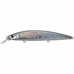 Lucky Craft Surf Pointer 115 MR -AFTCO Shop ms anchovy grande 12b1914f 0ebc 4c08 a5c8 5a180ab81281