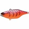 Jackall TN 70 Disk Knocker Lipless Crankbait -AFTCO Shop ngry Craw 44fc4e38 09f5 47cd 935b bb7fe11c0147