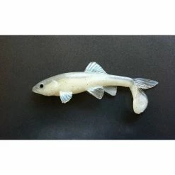 Little Creeper Baits All American Trash Fish Fatty -AFTCO Shop pearlwhitish