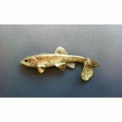 Little Creeper Baits All American Trash Fish Fatty -AFTCO Shop rainbiow