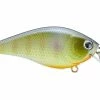 Lucky Craft KJ Flat 1.5 Crankbait -AFTCO Shop rs 24