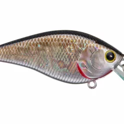 Lucky Craft KJ Flat 1.5 Crankbait -AFTCO Shop rs 25