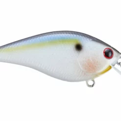 Lucky Craft KJ Flat 1.5 Crankbait -AFTCO Shop rs 26