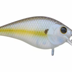 Lucky Craft LC 1.0 DRS Squarebill Crankbait -AFTCO Shop rs 2 64d246ef d779 47ad 91a0 45bac61fb437