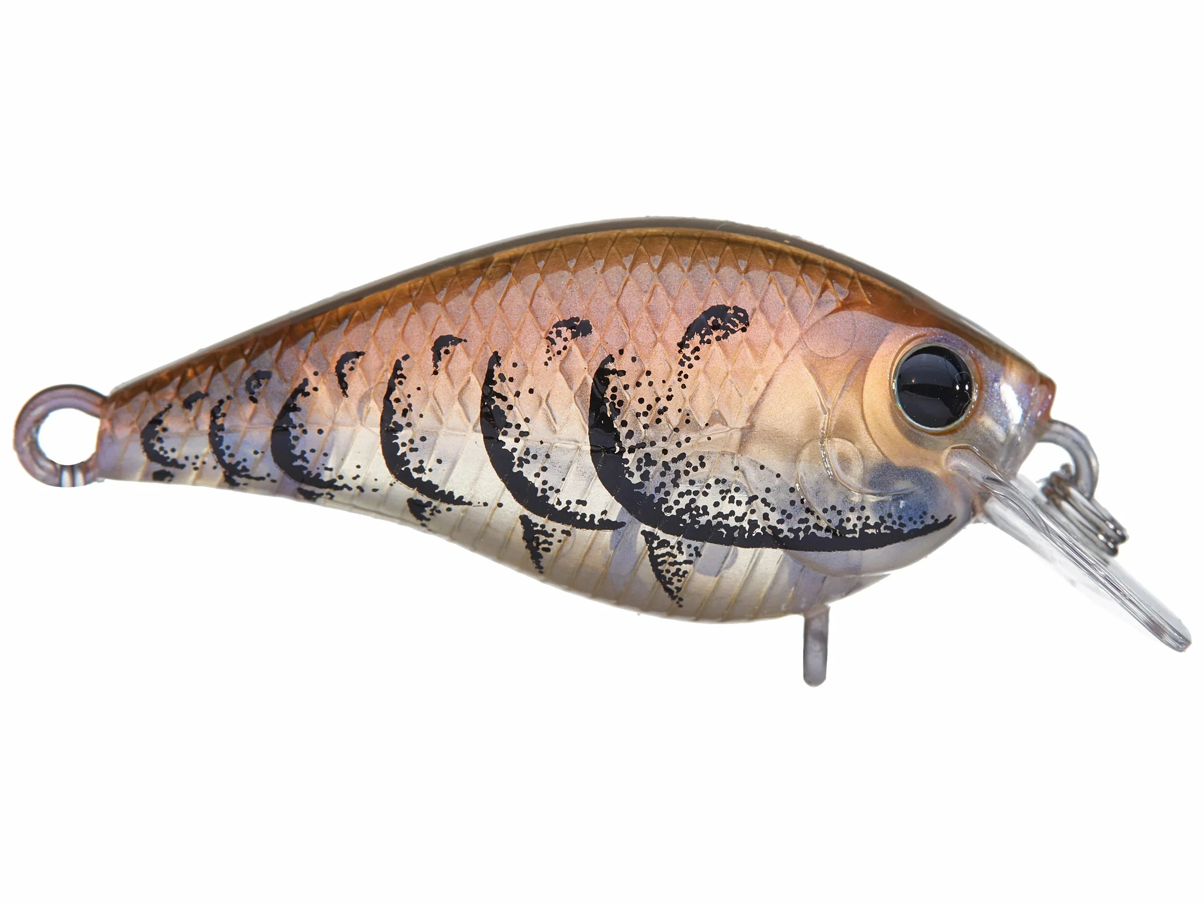 Lucky Craft LC 0.7 Squarebill Crankbait 10 Lucky Craft LC 0.7 Squarebill Crankbait - Image 8