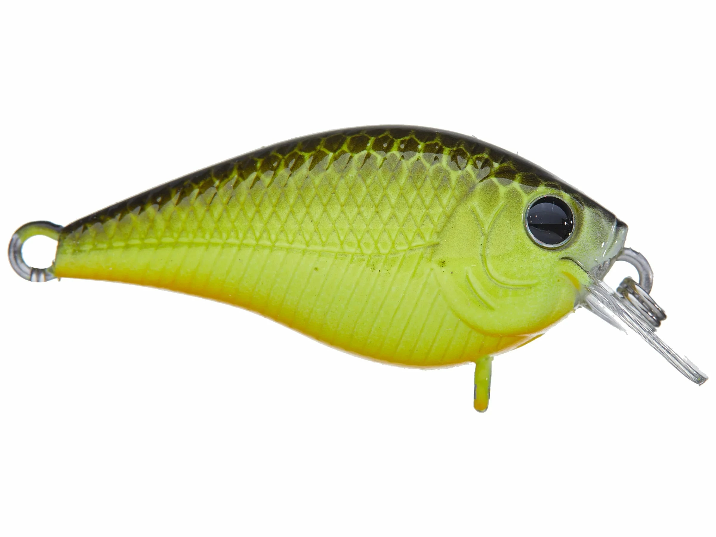 Lucky Craft LC 0.7 Squarebill Crankbait 8 Lucky Craft LC 0.7 Squarebill Crankbait - Image 6