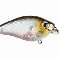 Lucky Craft LC 1.0 Squarebill Crankbait -AFTCO Shop rs 6 40426d89 8f59 4449 9174 b87366a147b3