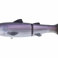 Baitsanity Explorer Glide Gen 2 -AFTCO Shop rs.php 10