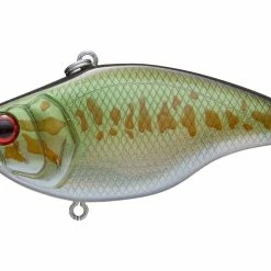 Deps MS Vibration Tg Knocking Lipless Crankbait 11 Deps MS Vibration Tg Knocking Lipless Crankbait -AFTCO Shop rs 2a4b115b 74f3 460d 8557 9963943e2f10