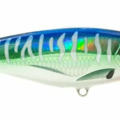 Nomad Tackle Madscad Twitchbaits 8 Nomad Tackle Madscad Twitchbaits -AFTCO Shop spanishmack 93e7ade8 b031 4afa 883d 7121bddd9d82