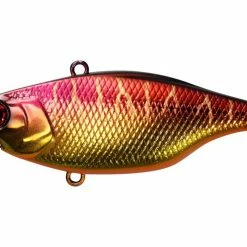 Jackall TN 60 Disk Knocker Lipless Crankbait 24 Jackall TN 60 Disk Knocker Lipless Crankbait -AFTCO Shop spawn tiger x700 15b6ebe7 a3f1 49e5 94bd 823b822f88f8