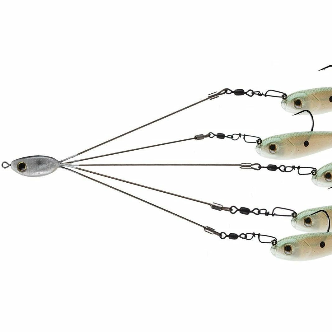 Picasso School-E-Rig 4 Picasso School-E-Rig - Image 2