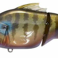 AFTCO Shop -AFTCO Shop vatalionitocichlid600